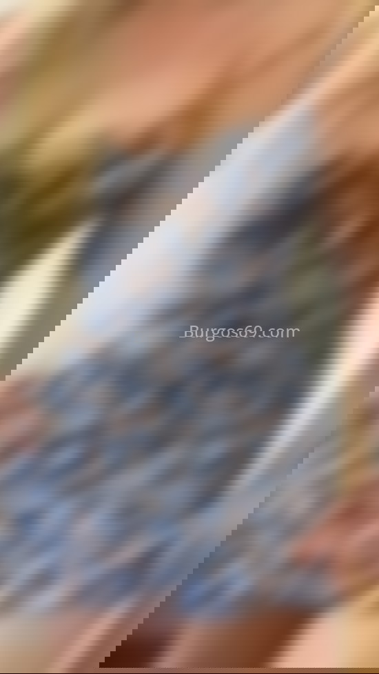 Priscila, último día en la ciudad. 624855402. Citas en BURGOS, BURGOS. www.burgos69.com.