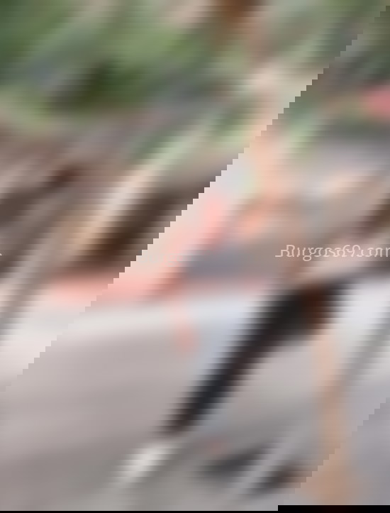 Donatella, trans venezolana divertida. 632145620. Citas en BURGOS, BURGOS. www.burgos69.com.