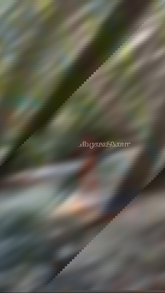 Vanesa, mujer trans divertida. 632018148. Citas en BURGOS, BURGOS. www.burgos69.com.