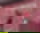 661205870