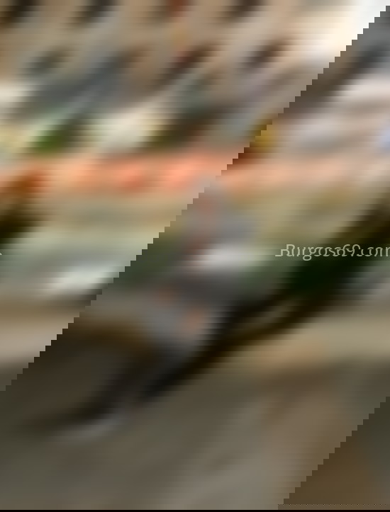 Diana, trans colombiana fiestera . 677873547. Citas en BURGOS, BURGOS. www.burgos69.com.