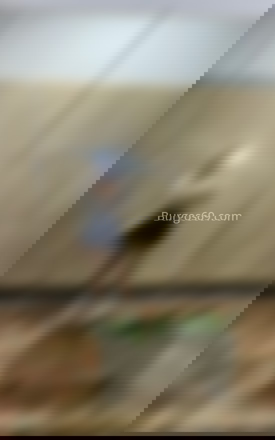 Tiffany, venezolana recién llegada. 647482271. Citas en BURGOS, BURGOS. www.burgos69.com.