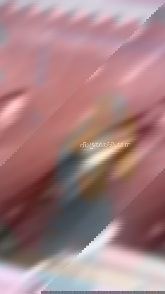 Catalina, joven colombiana. 614692357. Citas en BURGOS, BURGOS. www.burgos69.com.